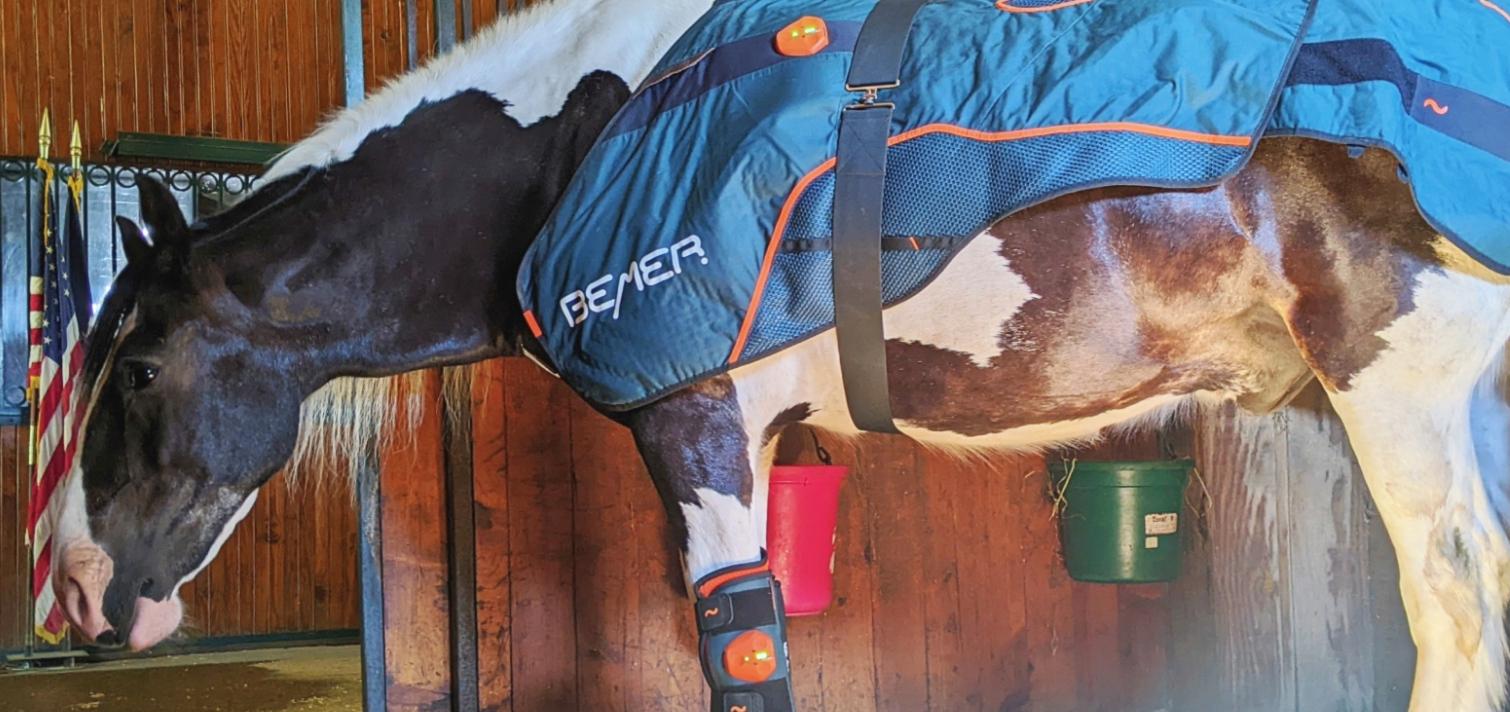 GiveSendGo Supporting the Kentucky Horse Park police horses The 1