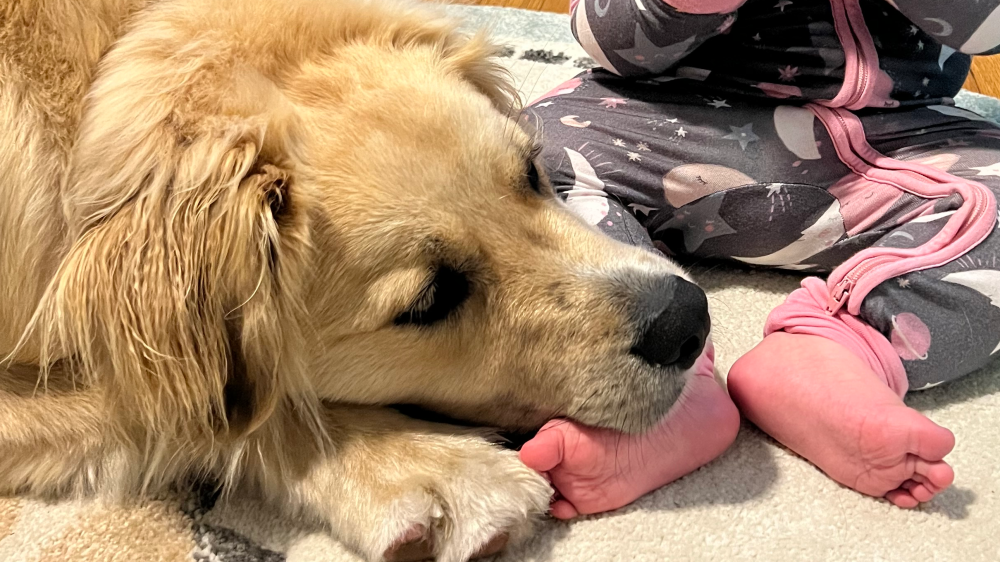 GiveSendGo Ollie Diaper’s Epilepsy Fund The Leader in Freedom