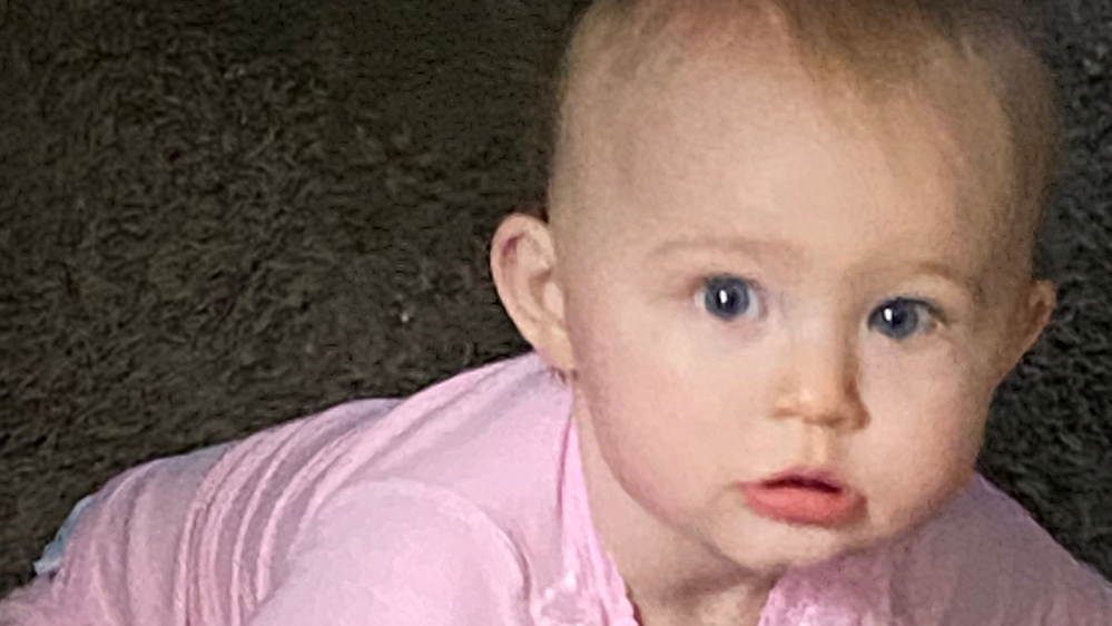 GiveSendGo Need Help Getting Emotional Support Animal The Leader In