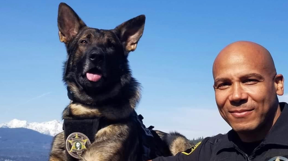 GiveSendGo Medical Treatment for K9 Deimos The Leader in Freedom